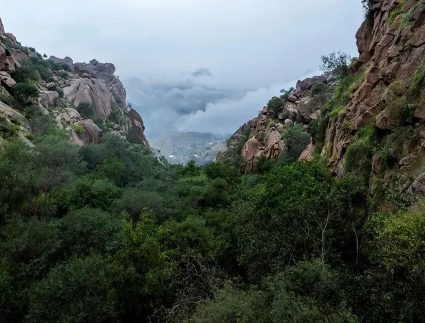 Low Clouds Create Winter Wonderland Around Shada Mountains