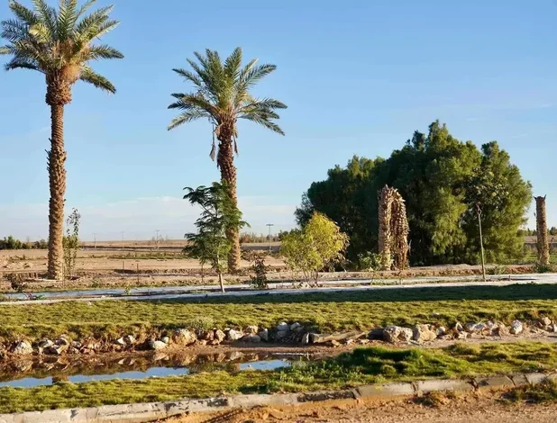 Rural Farms in Rafha Offer Unique Blend of Nature, Leisure, Cultural Experiences