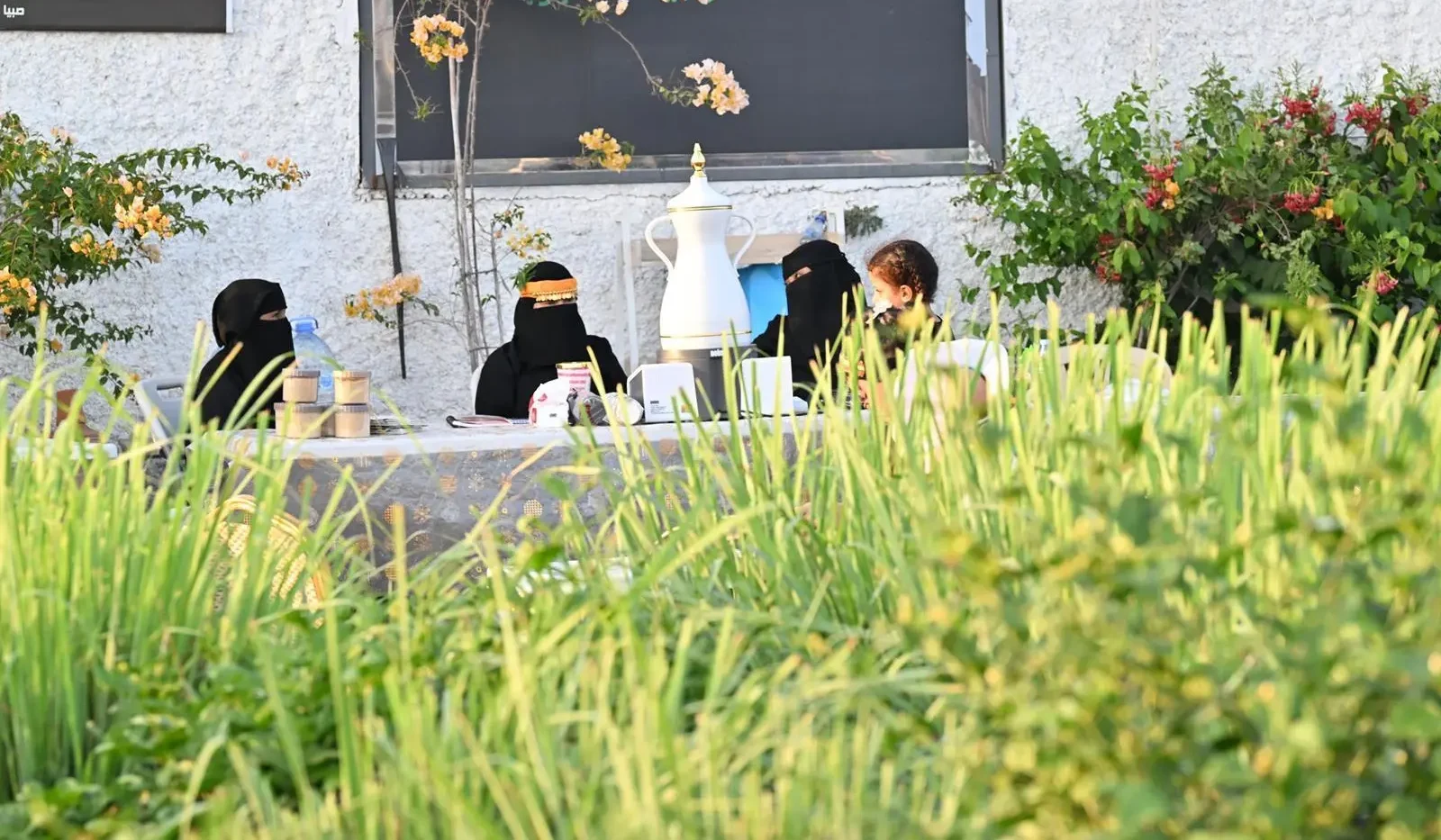 Jazan’s Farms Offer Unique Rural Experiences during Ramadan 