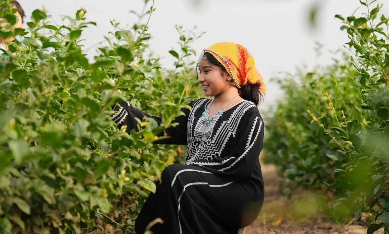 Jazan’s Farms Offer Unique Rural Experiences during Ramadan