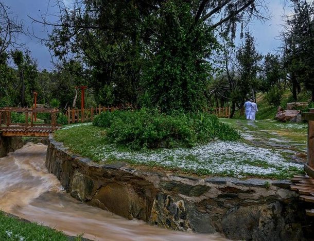 Hail Blankets Bani Hassan Heights as Rainfall Boosts Al-Baha Tourism