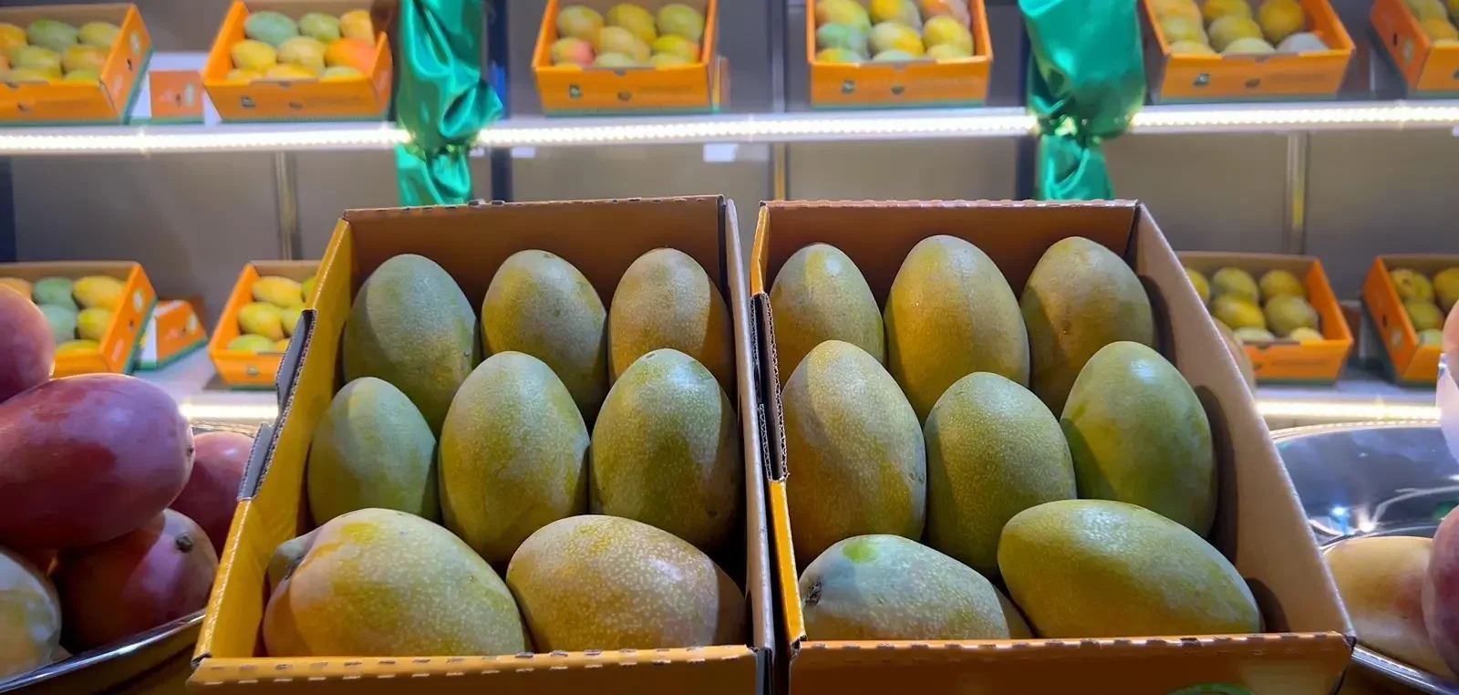 Jazan Celebrates Mango and Tropical Fruits Festival
