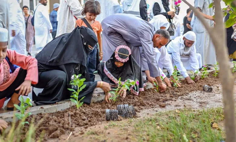 Madinah Leads Organic Aromatic Plants Production