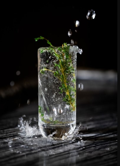 Tonic Bar: Saudi Arabia's First All-Female Non-alcoholic Beverages Bar
