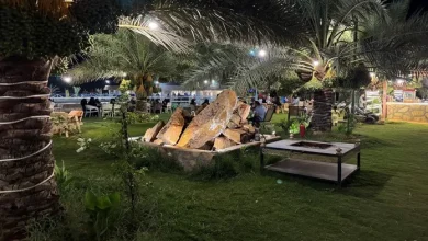 Rural Tourism Flourishes in Al-Jouf:  Fresh Take on Agricultural Experiences