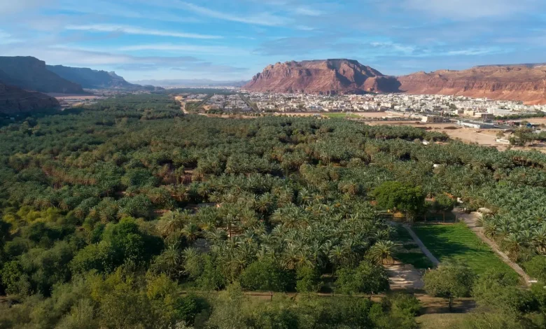 AlUla Celebrates Local Produce with Summer Fruits Season