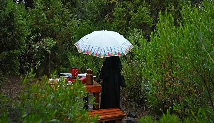 Gemini Rains Enchant Aseer: Fog Drapes Highlands in Mystical Beauty