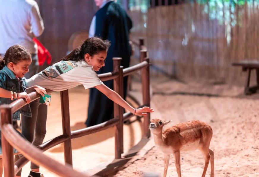 Forest Wonders Brings Family Fun to Jeddah Season 2025