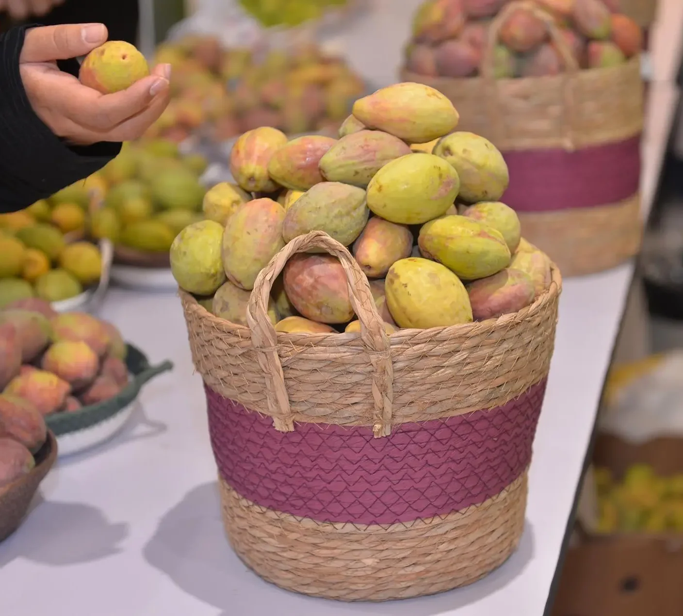 Qatifi Almond Fest Fosters Local Agricultural Production