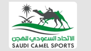 Camel Sports Auction Launches at Saudi Falcons Expo