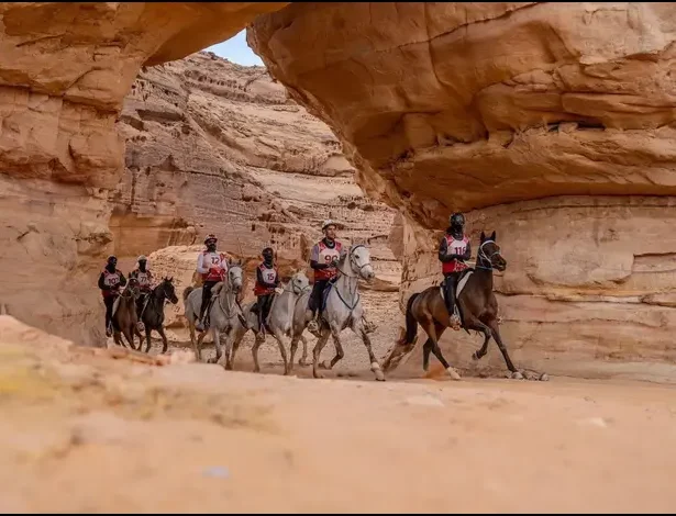 AlUla Set to Host International Endurance Race with Riders from 12 Countries
