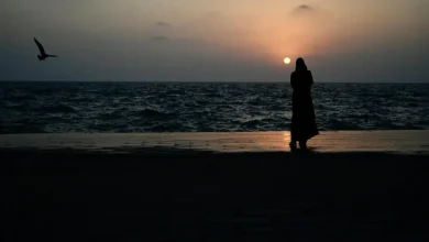 Cloudy, Mild Weather Draws Visitors to Jazan Region