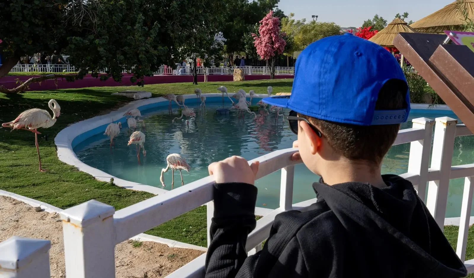 Riyadh Zoo: Dedicated Spaces, Immersive Experiences for Children