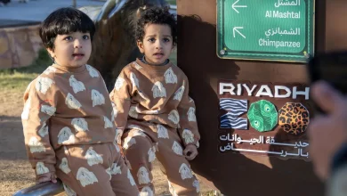 Riyadh Zoo: Dedicated Spaces, Immersive Experiences for Children