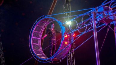 World Circus Delivers International Entertainment at Hail Rally