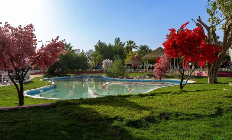 Riyadh Zoo: Dedicated Spaces, Immersive Experiences for Children