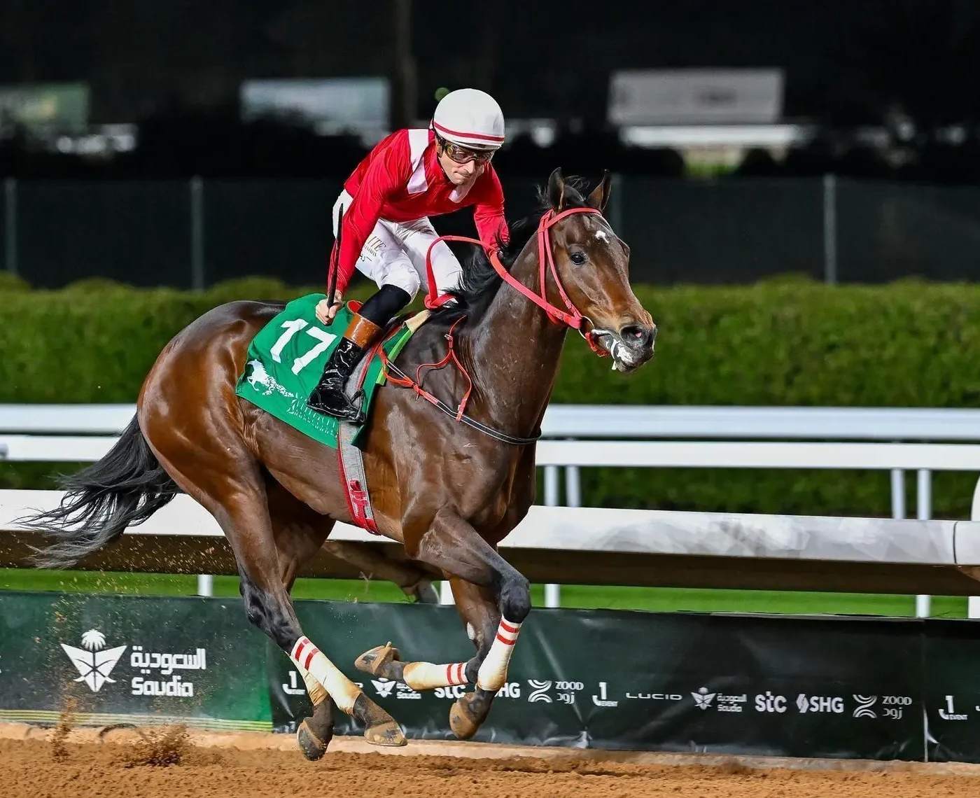 King Abdulaziz Racecourse Hosts Kings’ and Princes’ Cups Festival