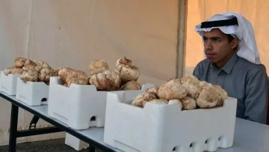 Qassim’s Truffle Festival Celebrates Local Heritage, Traditional Crafts