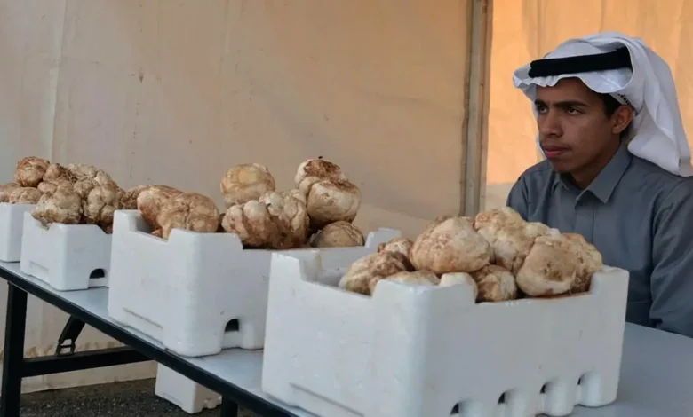 Qassim’s Truffle Festival Celebrates Local Heritage, Traditional Crafts