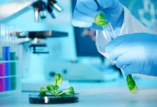 Medical Biotechnology Summit to Kick off in Riyadh in Sept.