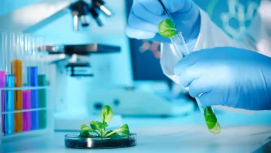 Medical Biotechnology Summit to Kick off in Riyadh in Sept.