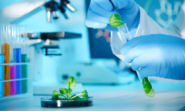 Medical Biotechnology Summit to Kick off in Riyadh in Sept.