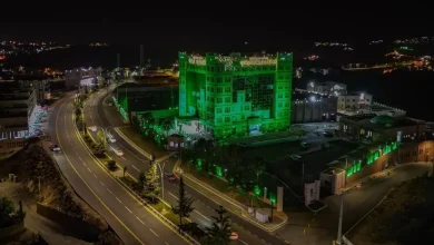 Saudi Founding Day 2026: Al-Baha Glows Green