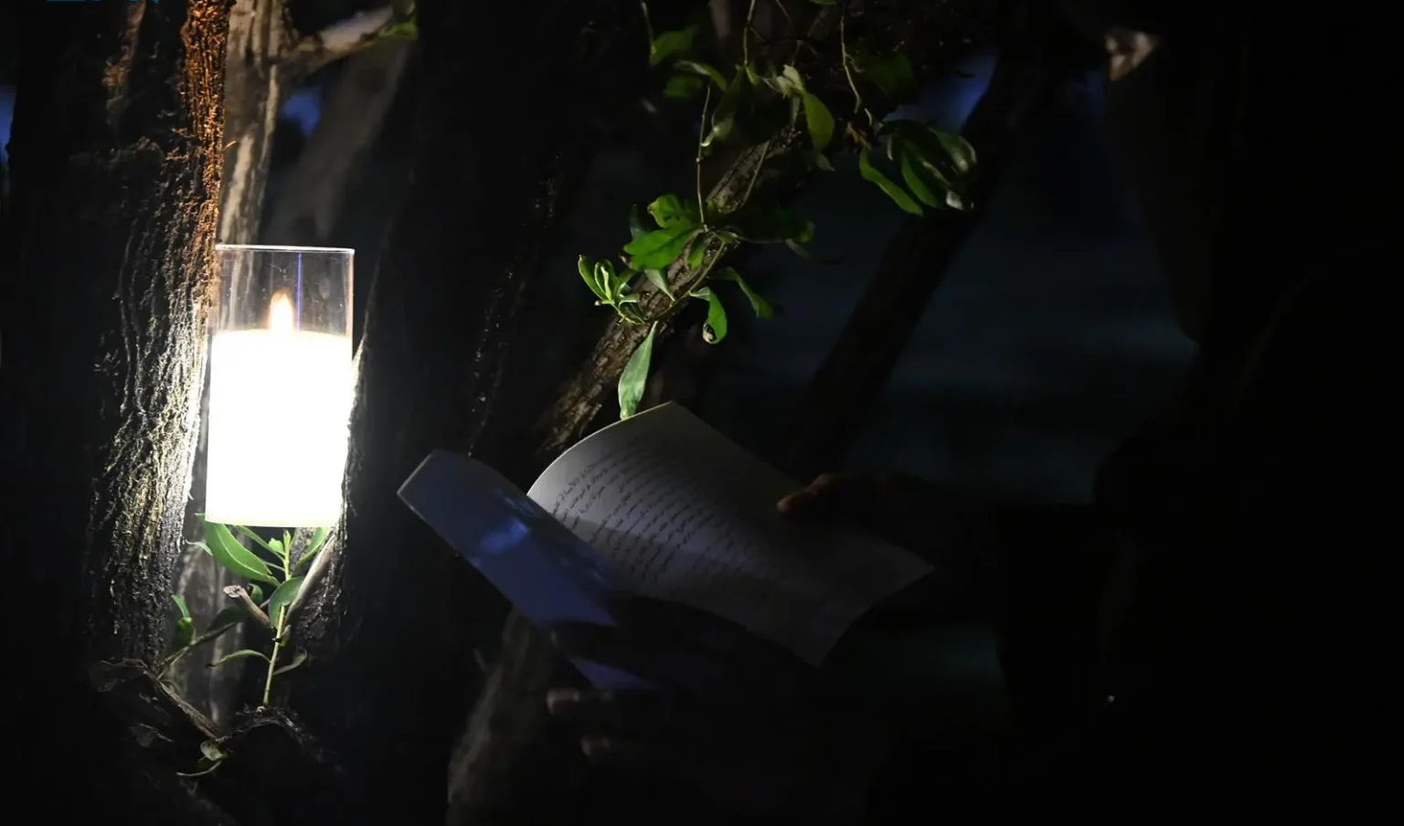 Tabuk Organizes Candlelit Literary Evening to Mark Earth Hour
