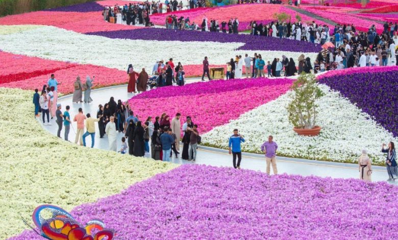 Yanbu Flower Festival 2026: Saudi Arabia's Natural Beauty on Display
