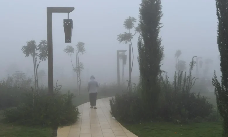 Foggy Weather Draws Aseer Residents to Parks for Ramadan Iftar