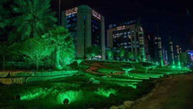 Riyadh Glows Green as Saudi Arabia Marks SGI Day 2026