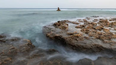 Nature’s Balance: Rock and Sea Unite along Al-Wajh Coast