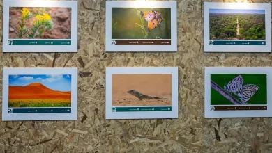 Environment Week 2026 Spotlights Saudi Rich Biodiversity