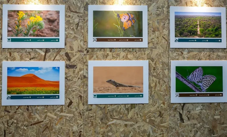 Environment Week 2026 Spotlights Saudi Rich Biodiversity