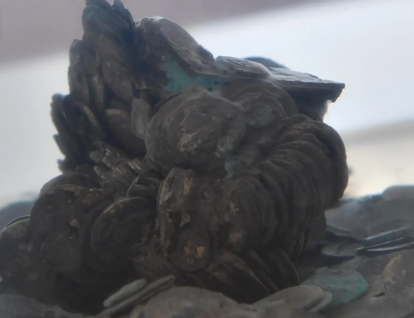Red Sea Museum Extends “Sunken Treasures” Exhibition in Historic Jeddah