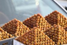Saudi Dates Step into Spotlight at NYC Fancy Food Show & World Cup 2026