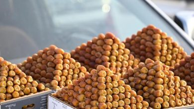 Saudi Dates Step into Spotlight at NYC Fancy Food Show & World Cup 2026
