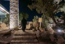 Discover Al-Shafa: Taif's Mountain scape for Nature Lovers