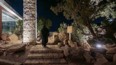 Discover Al-Shafa: Taif's Mountain scape for Nature Lovers