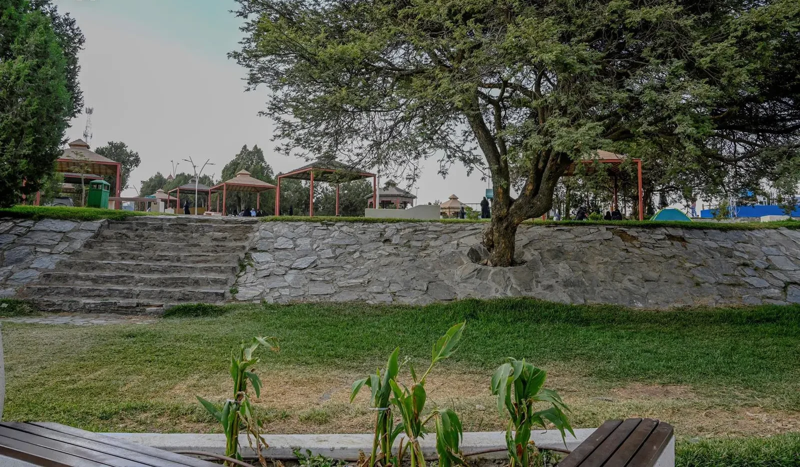 Prince Mashari Park Gears up for Al-Baha Summer 2026 Season