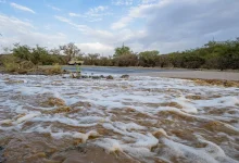 Rainfall Enhances Al-Baha’s Summer Scenery