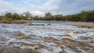 Rainfall Enhances Al-Baha’s Summer Scenery