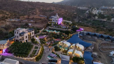 Nature, Heritage Draw Summer Visitors to Taif's Rural Lodges