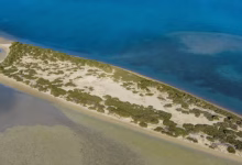 Al-Raees Beach Boosts Appeal of Marine Tourism in Al-Madinah