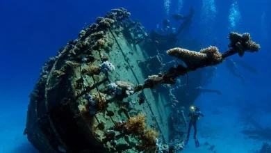The "Sunken Treasures" Exhibition Tells Story of Umluj Ship from Trading Voyage to Archaeological Witness