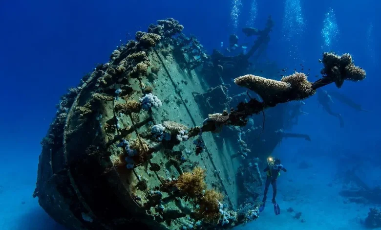 The "Sunken Treasures" Exhibition Tells Story of Umluj Ship from Trading Voyage to Archaeological Witness