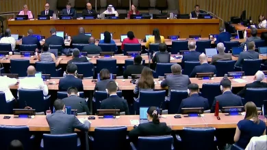 GEOSA President Elected Co-Chair of UN Geospatial Information Committee