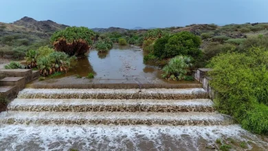 Al-Ardah’s Al-Mudamdamah Valley Draws Visitors with Scenic Waterfalls