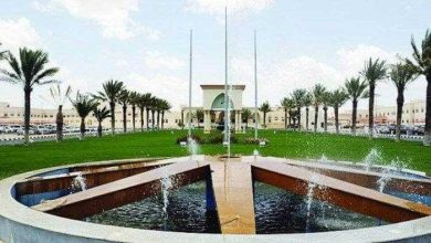 Taif University Lists 12 Disciplines in 2026 ShanghaiRanking