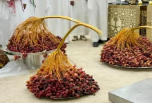 Third Sakaka Dates Festival Concludes with 40 Farmers, Producing Families